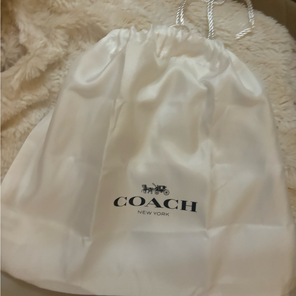 Coach cloth bag